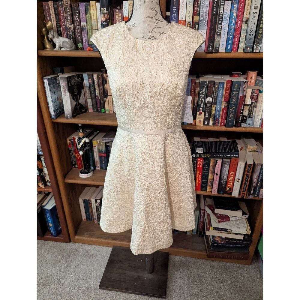 Brand New Aiden Mattox Women Small Champaigne Pink Charmeuse Silk Fit Flare Dres